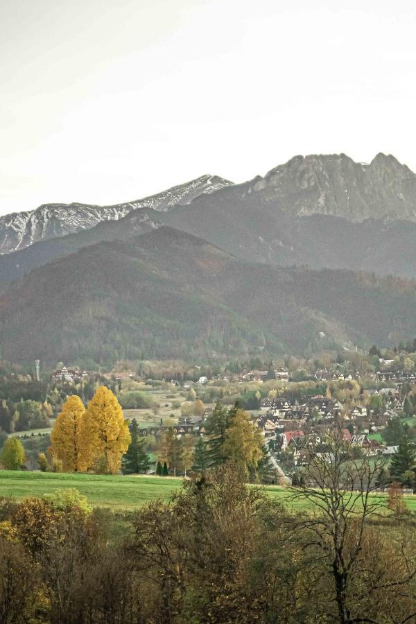 Willa Grg Zakopane Kültér fotó